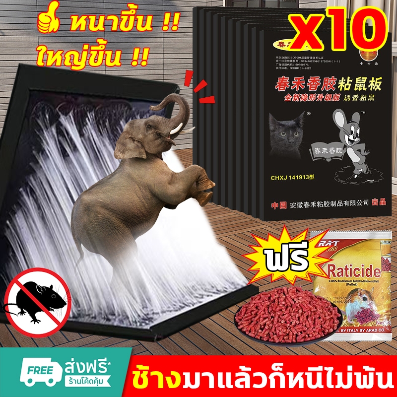 จัดส่งทันที กาวดักหนู กําจัดหนู 10 แผ่น/กล่อง ใช้กาวนำเข้าที่แข็งแกร่ง จับหนูได้ง่าย ไล่หนู