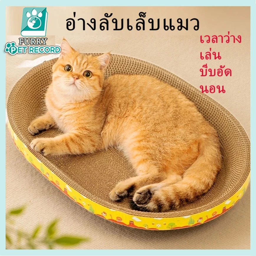 ที่ลับเล็บแมว+แคทนิป อ่างลับเล็บ ของเล่นแมว ที่นอนแมว 2 in 1 แผ่นลับเล็บ ที่ฝนเล็บสัตว์เลี้ยง
