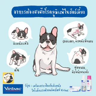 Virbac Allermyl แชมพู สำหรับสุนัขและแมว ขนาด 250 ml