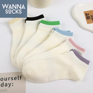 ส่งจากไทย!! ถุงเท้าข้อสั้น รุ่น Basic Cozy สไตล์มินิมอล สีพื้น ถุงเท้าแฟชั่น ทำจากผ้าฝ้าย B22