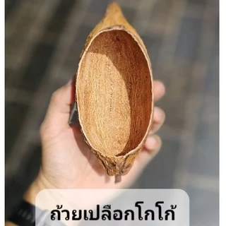 ถ้วยเปลือกโกโก้แห้ง dry cacao pod