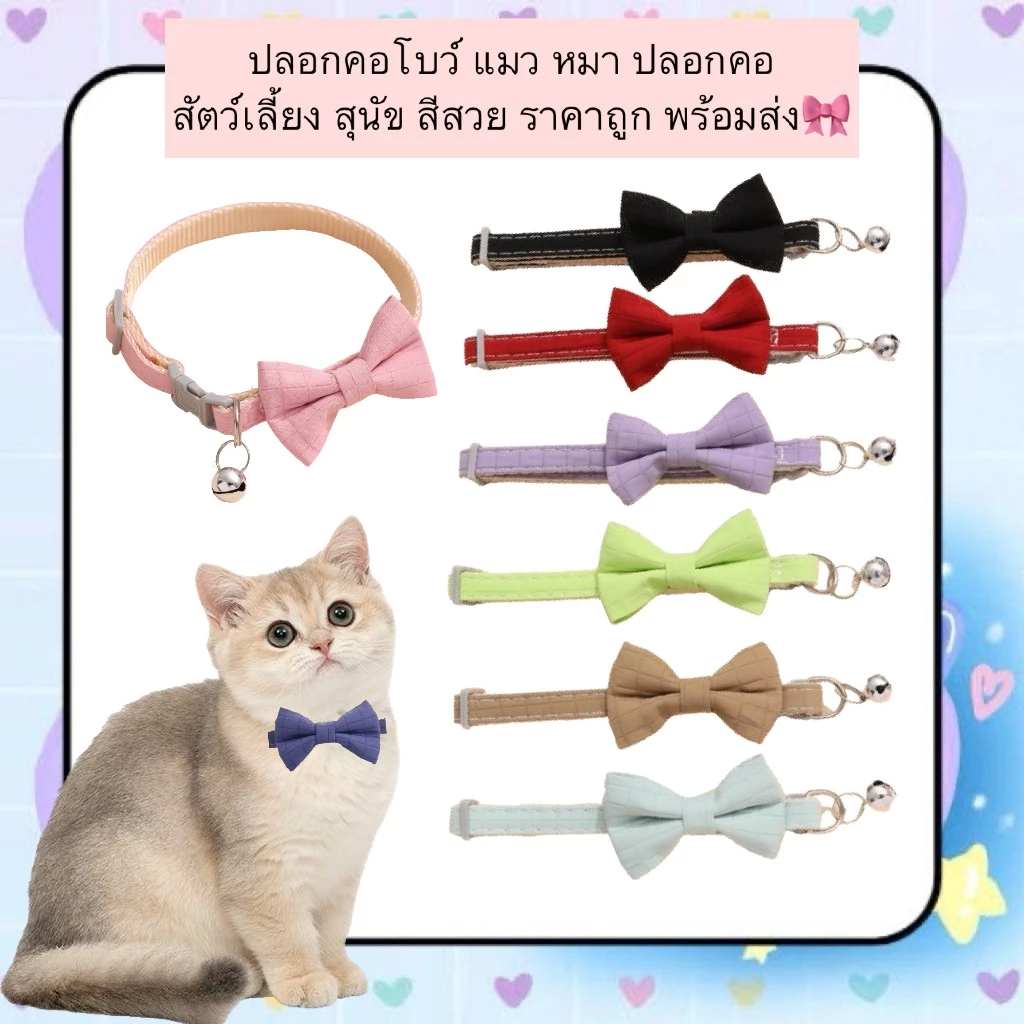 AL-620 ปลอกคอโบว์ แมว หมา ปลอกคอสัตว์เลี้ยง สุนัข สีสวย ราคาถูก พร้อมส่ง🎀