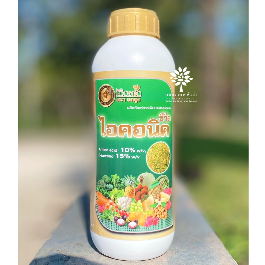 ไอคอนิค ซีวีด(สาหร่ายสกัดชนิดน้ำสูตรเข้มข้น) 1 ลิตร - อาหารเสริมพืช สาหร่ายเร่งดอก สาหร่ายเปิดตาดอก สาหร่ายเร่งโต บำรุงต