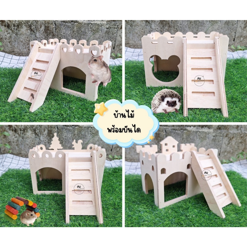 บ้านแฮมสเตอร์ บ้านหนูไจแอนท์ ดอร์เมาส์ ที่นอนเม่นแคระ แฟตเทล ที่นอนทำรัง พร้อมบันไดไม้