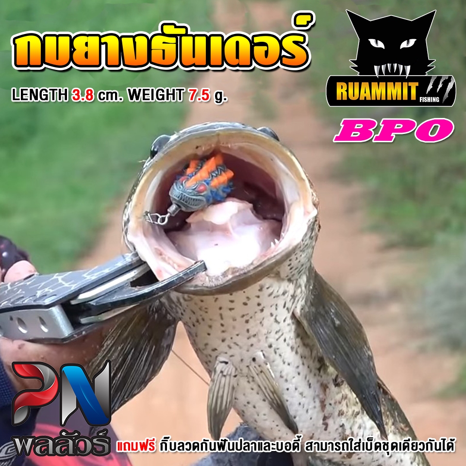 Thumbnail 8