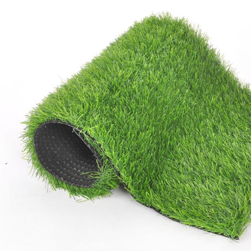 รูปภาพ 9