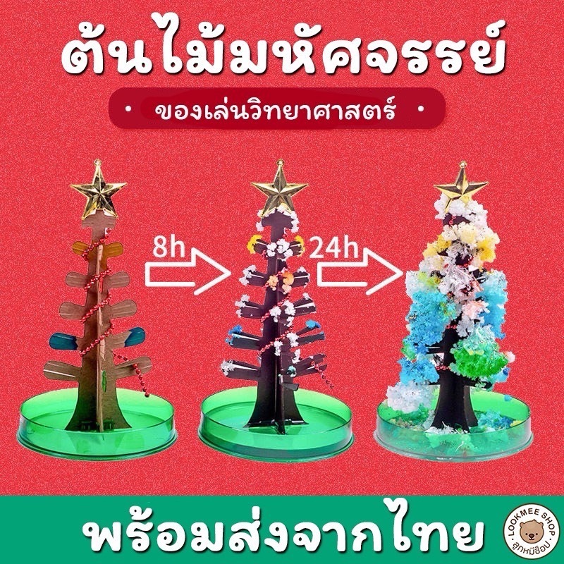 ต้นไม้มหัศจรรย์ Magic growing ต้นคริสต์มาสวิเศษ  ของเล่นDIY  ปลอดภัยไม่อันตราย มีหลายแบบให้เลือก เติบโตใน 24ชั่วโมง