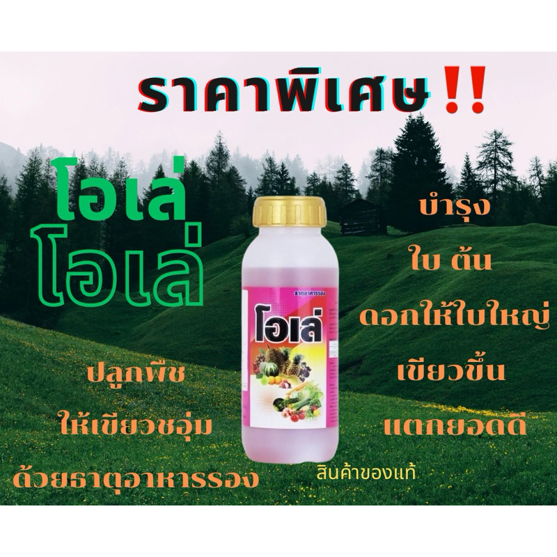 โอเล่ โอเล่ บำรุงใบ ต้น ดอกให้ใบใหญ่เขียวขึ้น แตกยอดดีเป็นธาตุอาหารรอง