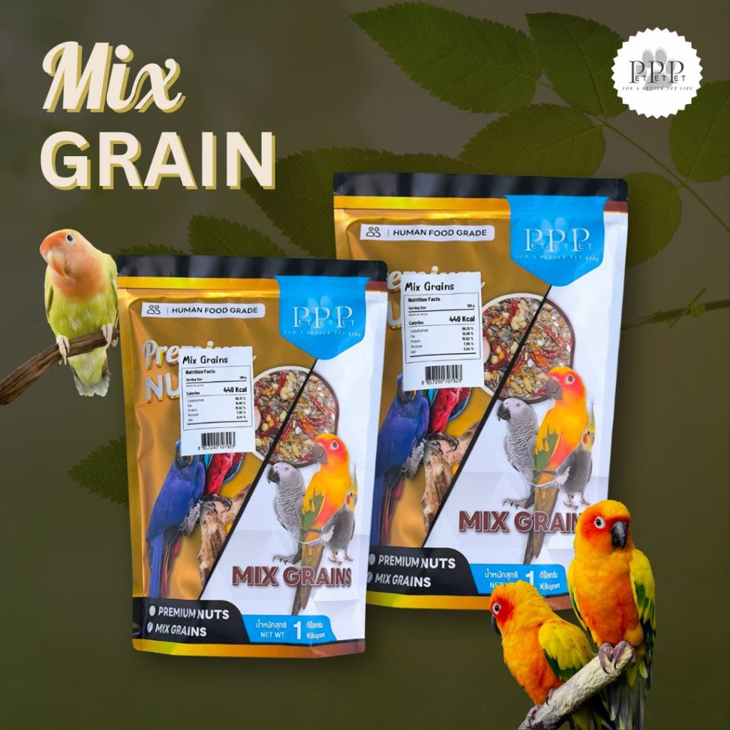 อาหารนก Mix Grains. ถั่วและธัญพืชสำหรับนกแก้วขนาดเล็ก-กลาง (ซันคอนัวร์-แอฟฟริกันเกรย์)
