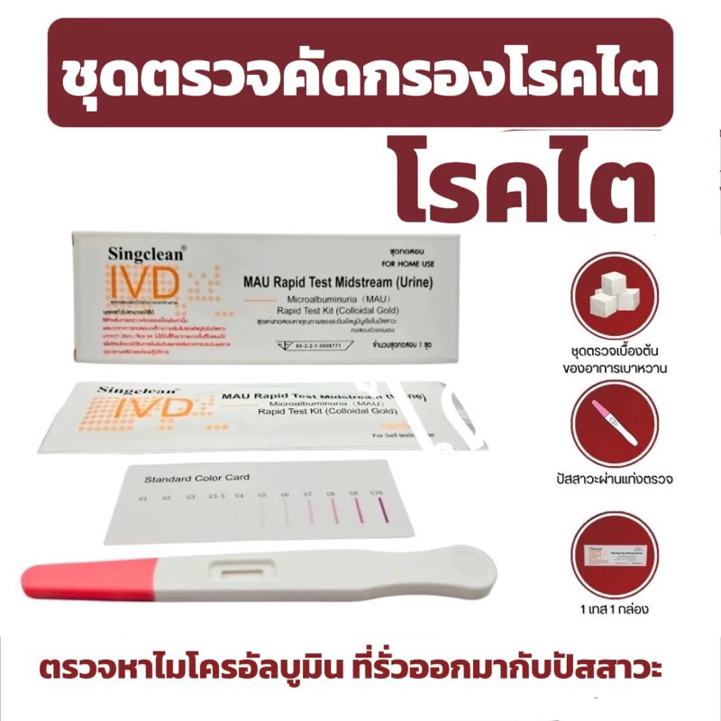 ชุดตรวจไมโครอัลบูมิน (MAU) ตรวจเบื้องต้นของอาการเป็นเบาหวาน แบบปากกา ตรวจปัสสาวะ (แบบเซ็ต 1 เทสต์