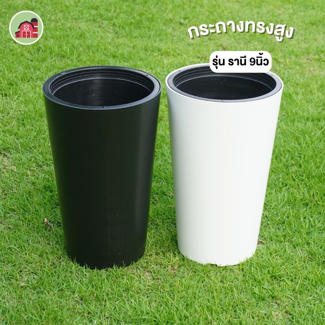 กระถางทรงสูง ขนาด 9 นิ้ว รุ่นรานี กระถางต้นไม้โมเดิร์น แถม กระถางกลมดำ 9 นิ้ว 1ใบ