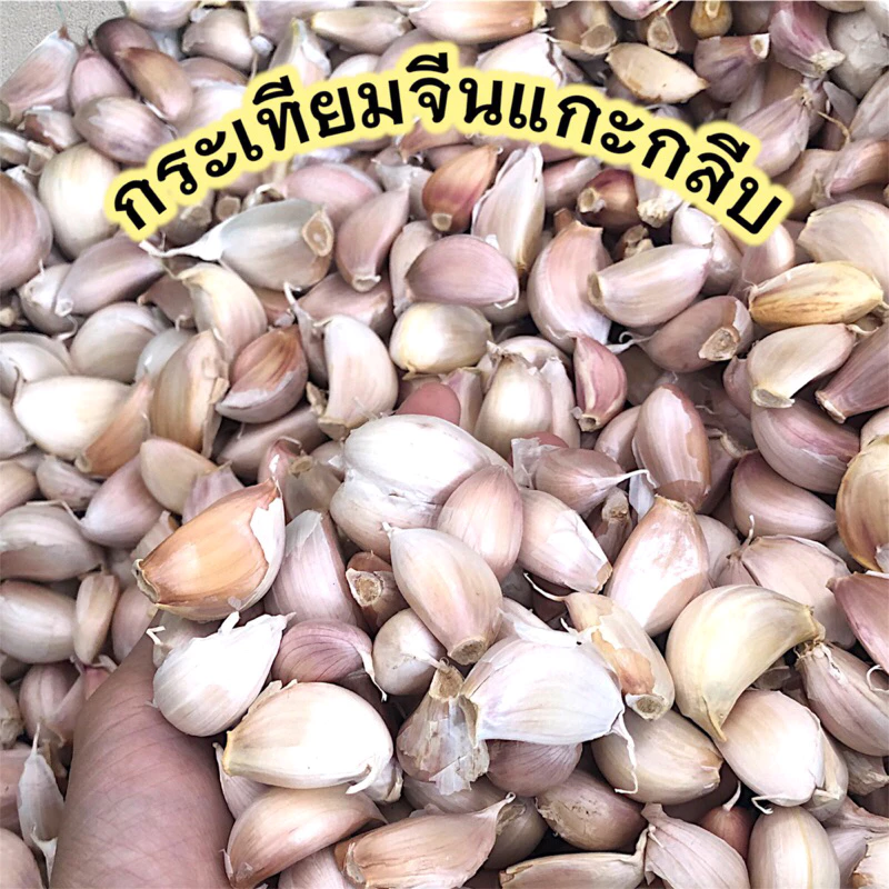 กระเทียมจีนแกะกลีบ แกะมือ คัดสวย 1กก.