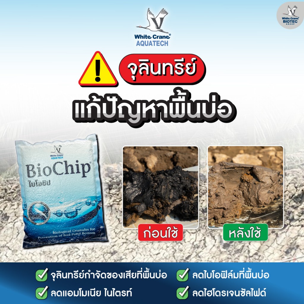 BioChip - ไบโอชิป จุลินทรีย์สำหรับกำจัดของเสียที่พื้นบ่อ ลดแอมโมเนีย ไนไตรต์ ควบคุมเชื้อก่อโรคขนาด 1 กิโลกรัม