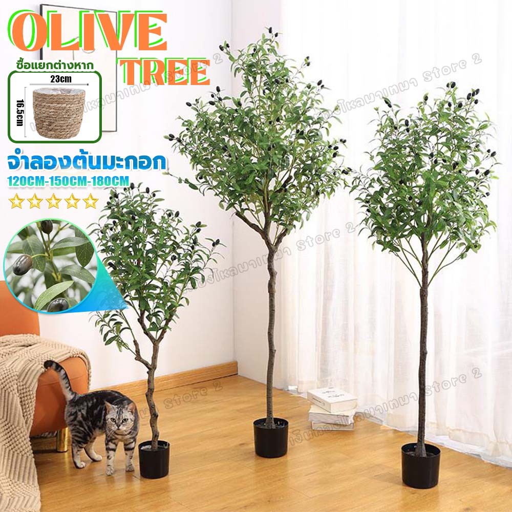 (พร้อมส่ง)ต้นโอลีฟ ต้นไม้ตกแต่งมินิมอล ต้นไม้ปลอมใหญ่ สดและเป็นธรรมชาติ มีเส้นสายชัดเจน(120/150/180cm)