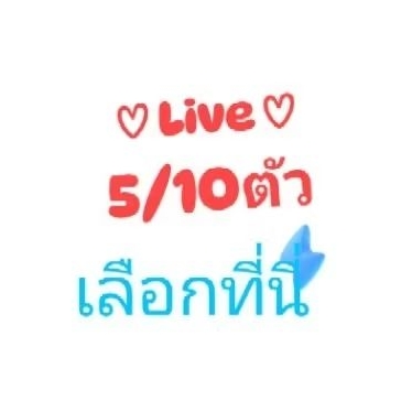 ❤️ D4 ❤️Live6 🎽เฉพาะลูกค้าในLive ซื้อสินค้าราคาเดียวกัน50฿-70฿ 10ตัวขึ้นไป