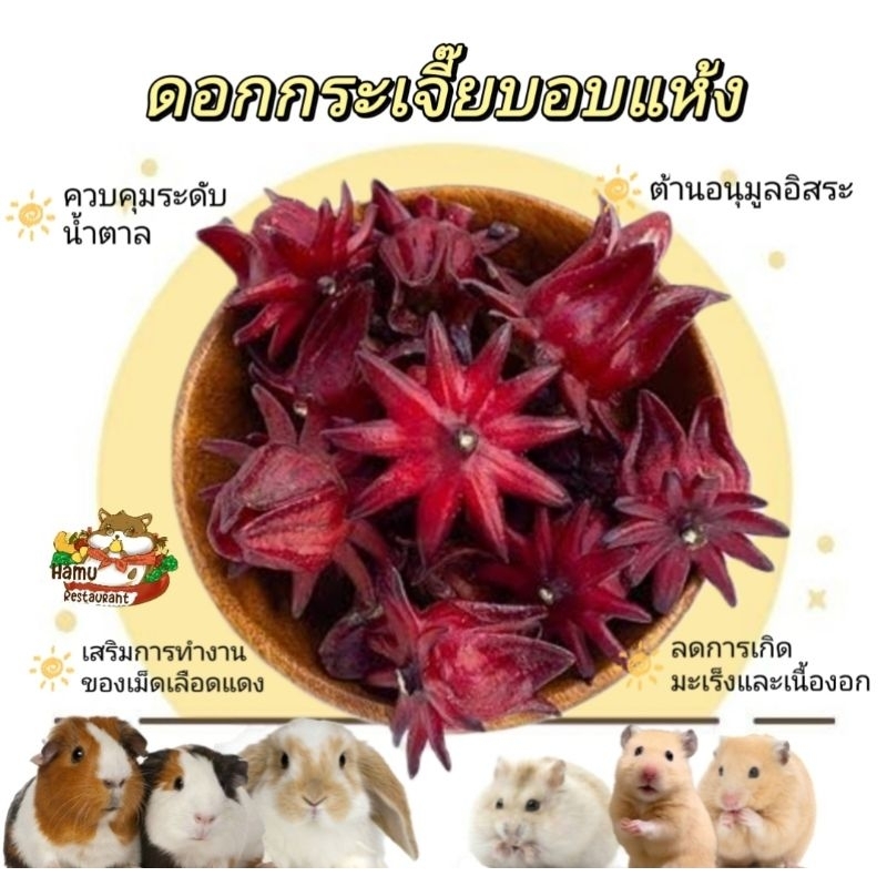 Hamu ❤️ ดอกกระเจี๊ยบแดงอบแห้ง Dried Roselle Flowers สมุนไพรของว่างสำหรับสัตว์ฟันแทะ อบแห้งใหม่ๆ