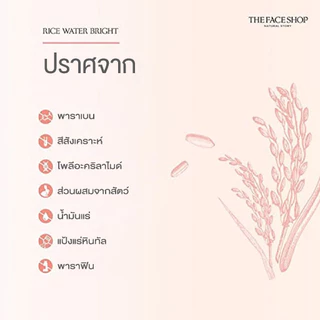 [พร้อมส่ง ของแท้] the face shop - rice water bright cleansing foam 300ml โฟมล้างหน้าสูตรน้ำนมข้าว