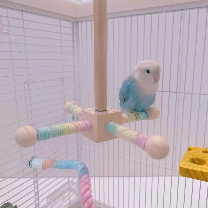 A-49 ของเล่นนกแก้ว คอนยืน วงล้อหมุนได้ ฝึกนก แก้เบื่อ 19*21cm