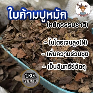 (2ถุง50)(15ถุงส่งฟรี)ใบก้ามปูหมัก ใบไม้ไม้หมัก ธรรมชาติ 1KG. ไนโครเจนสูง เพิ่มความร่วนซุย หมักแล้วพร้อมใช้