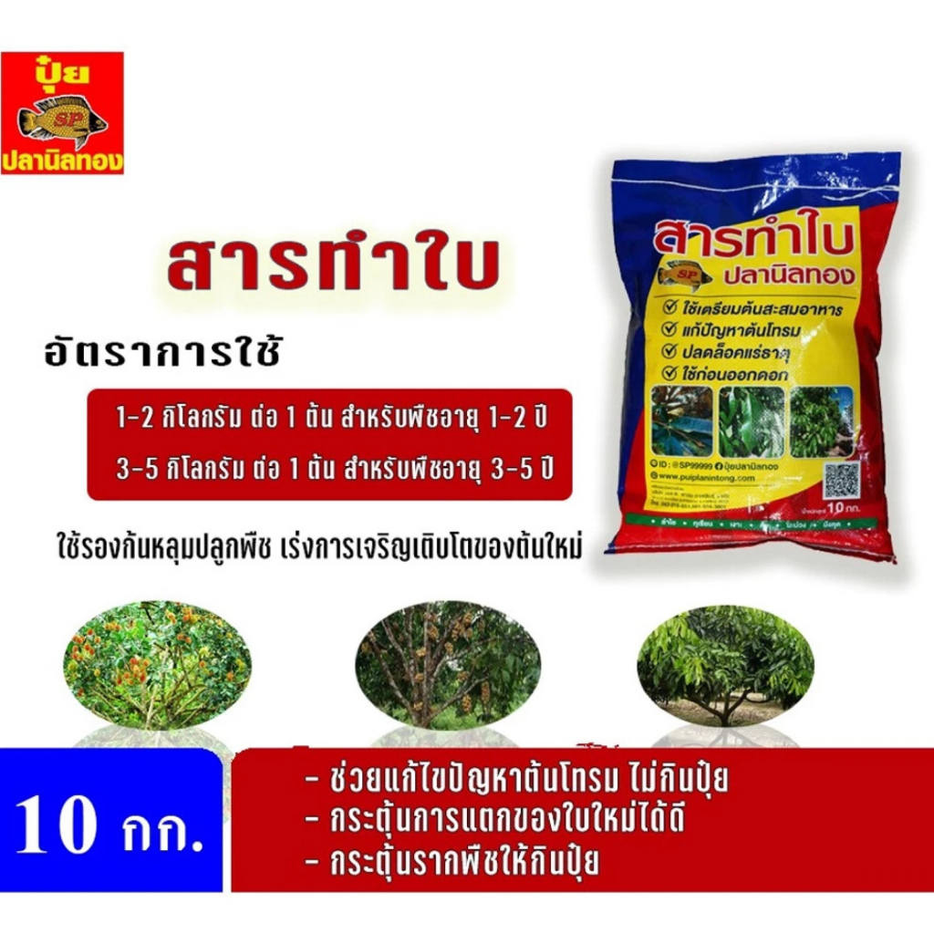 (กระสอบ 10 กก.) สารทำใบปลานิลทอง แก้ปัญหาต้นโทรม เร่งแตกยอด เพิ่มใบเขียว เร่งทำใบ