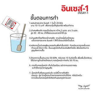 อินเซส์ -1 จุลินทรีย์ใช้ทำปุ๋ยหมัก 1 ตัน ย่อยวัสดุการเกษตร พืชผัก เศษกิ่งไม้ 100 กรัม