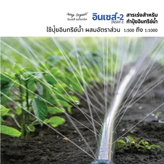 อินเซส์ - 2 (พด.2)จุลินทรีย์สำหรับผลิตน้ำหมัก 50 ลิตร หมักผัก ผลไม้ ปลา เพื่อเป็นปุ๋ยให้พืช 100 กรัม
