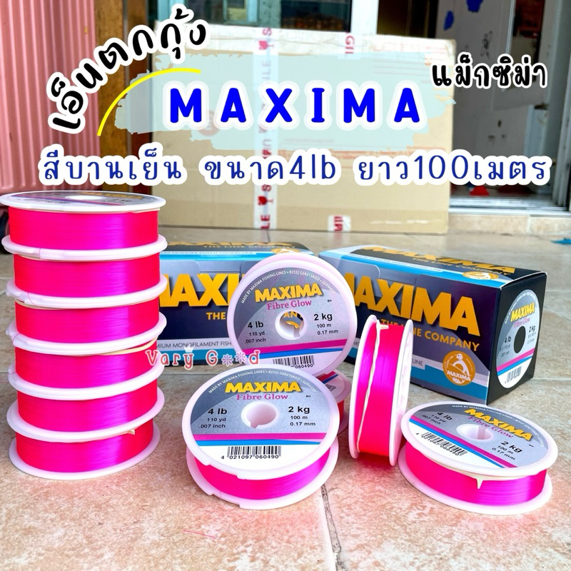 เอ็นตกกุ้ง Maxima สีบานเย็น 4lb (4ปอนด์)