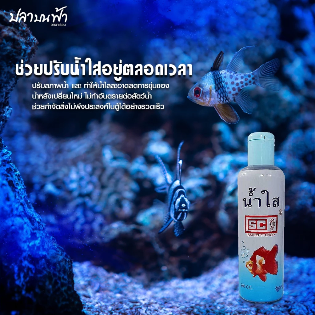 น้ำยาปรับสภาพน้ำใส SC ชนิดเข้มข้นช่วยปรับสภาพน้ำให้ใสสะอาดอยู่ตลอดเวลา โดยไม่ต้องเปลี่ยนน้ำบ่อย thumbnail 4