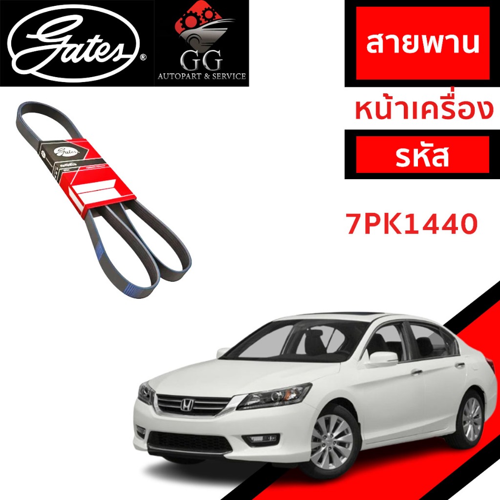 Gates สายพานหน้าเครื่อง HONDA ACOORD G9 (2.4) ปี 2013-2018 31110-5A2-M01 (7PK1440)