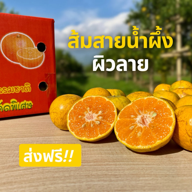 ส้มสายน้ำผึ้ง อ.ฝาง คละไซซ์ กล่องรวมไม่มีที่คั่น [ส่งฟรี!!]