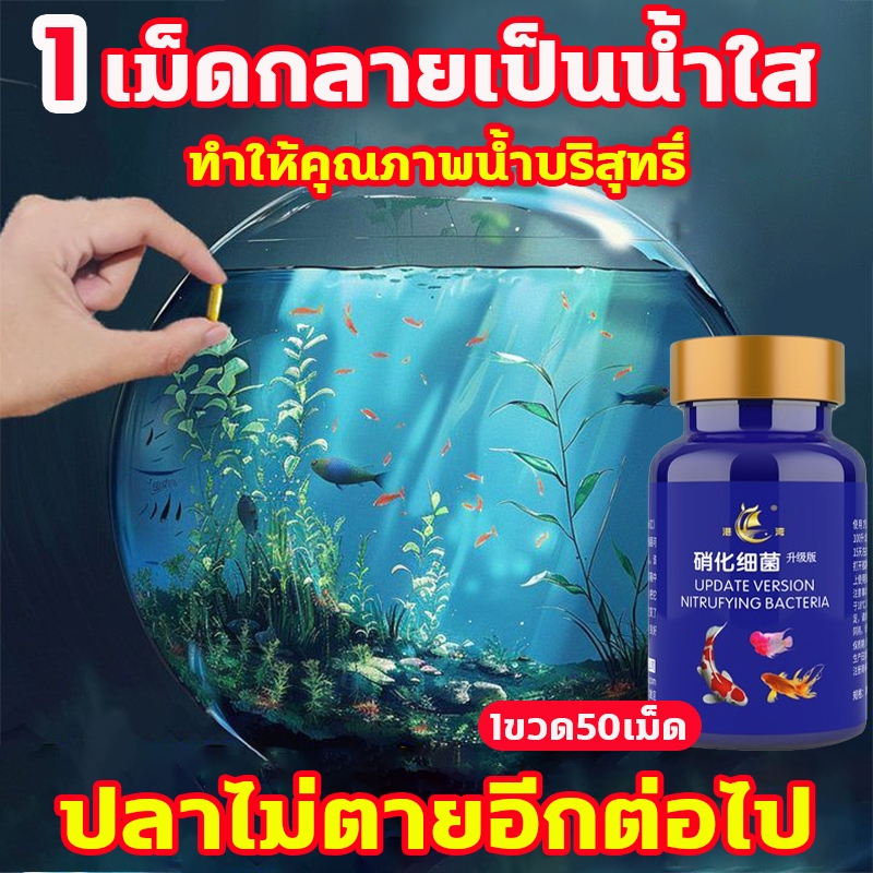 น้ำยาปรับสภาพน้ำ จุลินทรีบ่อปลา จุลินทรีย์ปรับสภาพน้ำใส กรองบ่อปลา น้ําใส ยาปลา ล้างตู้ปลา
