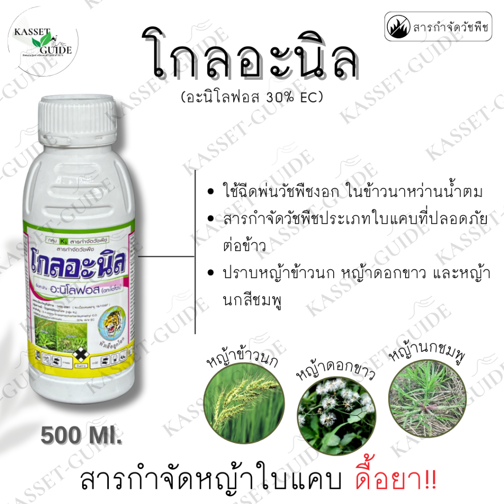 โกลอะนิล (อะนิโลฟอส) แก้ปัญหาหญ้าดื้อยาทุกชนิด 500 cc