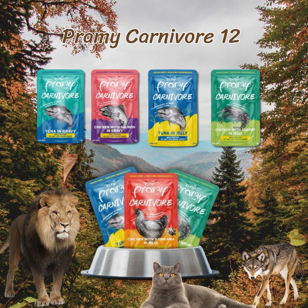 Pramy Canivore อาหารแมวชนิดเปียก พรามี่ คาร์นิวอร์ เอาใจสายกินเนื้อเน้นโปรตีนสูง ไม่เติมเกลือ บรรจุ 12 ซอง