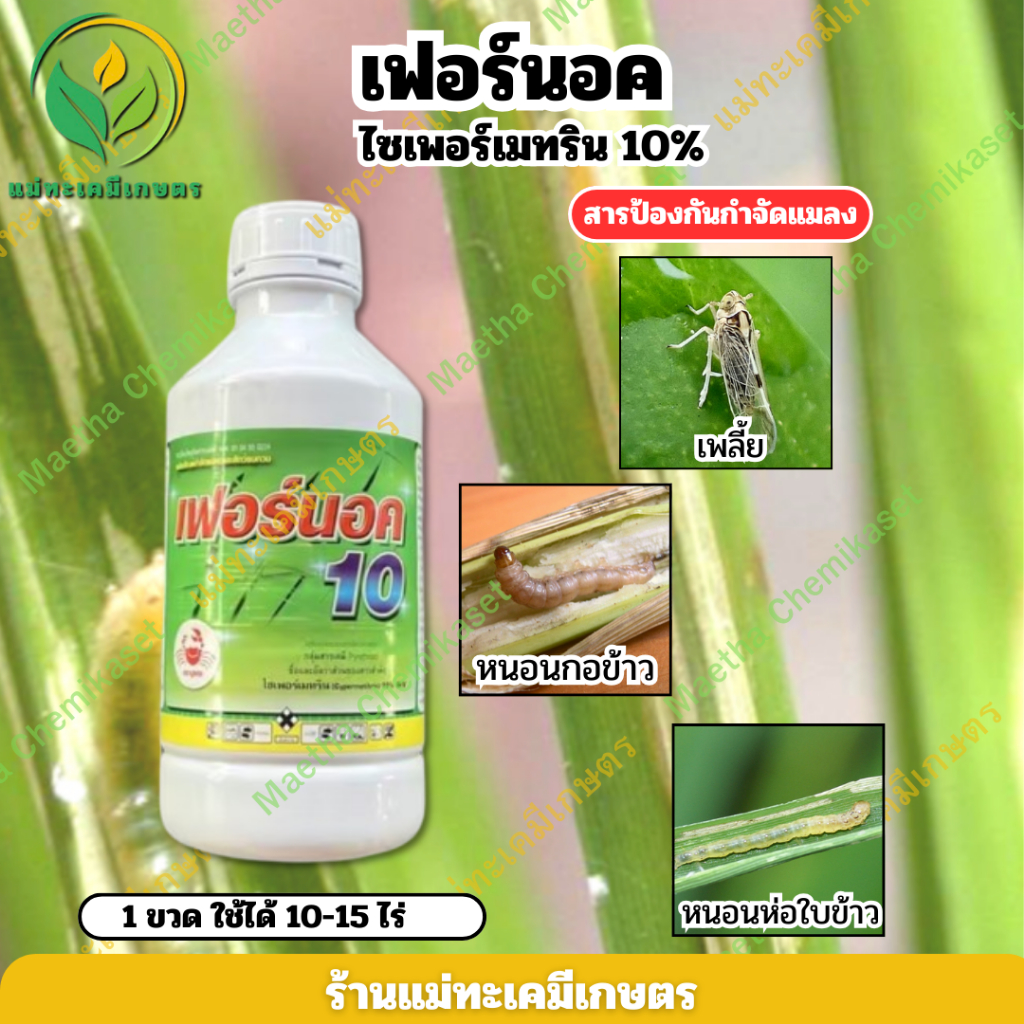 เฟอร์นอค 10% 1,000 ซีซี ชื่อสามัญไซเพอร์เมทริน ยา แมลง