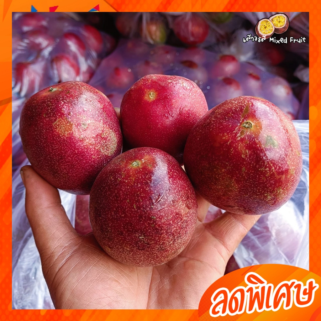 เสาวรสไทนุง (ไซส์เล็ก) ถูกมาก น้ำหนัก 30-40g./ลูก >>เน้นจำนวนกดสั่งเลย