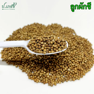 ลูกผักชี [50 / 100 กรัม] เม็ดผักชี เมล็ดผักชี Coriander seeds