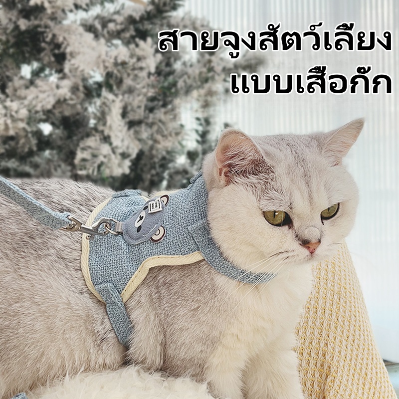 สายจูงสัตว์เลี้ยง 🐾 ใช้ได้กับสุนัข แมว กระต่าย 🐕🐱🐇 ขนาดเล็ก ปลอดภัย น่ารัก สวมใส่สบาย พร้อมลุย! 🌟