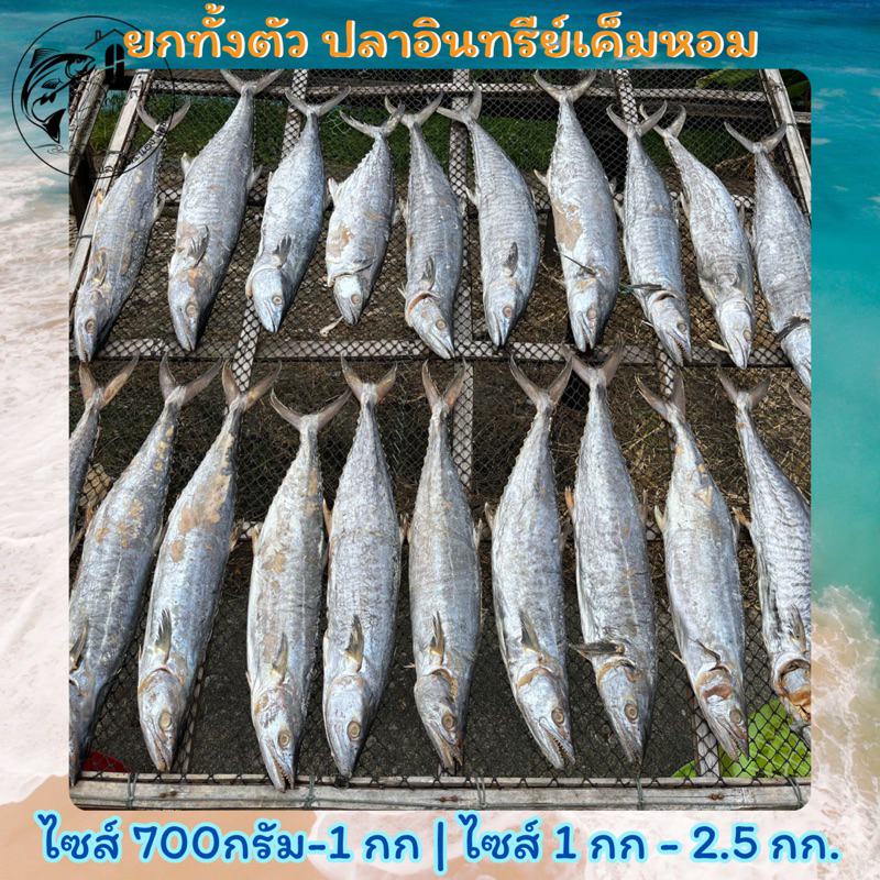 ปลาอินทรีย์เค็มหอม แบบยกทั้งตัว 800กรัม - 2,000กรัม จากเรือเอง