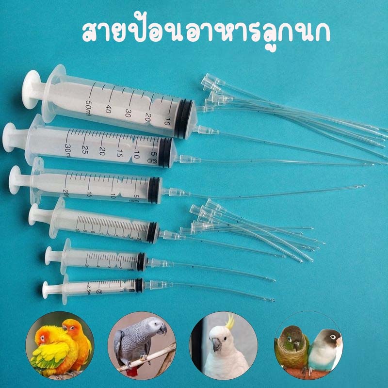สายป้อนอาหารลูกนก สายป้อน สายป้อนลูกนก ที่ป้อนอาหารนก ลูกป้อน สายป้อน