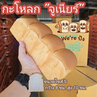 ขนมปังกะโหลก ใหม่ จูเนียร์ ไซส์ S 1 ลัง 6 แถว