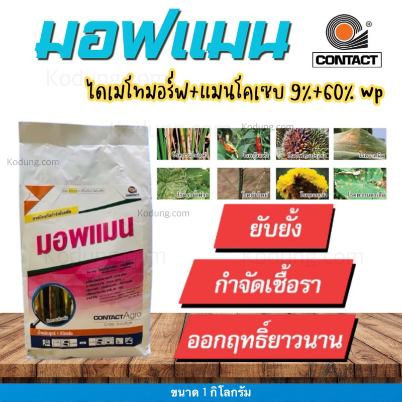 มอฟแมน(ไดเมโทมอร์ฟ+แมนโคเซบ 9%+60% WP)ออกฤทธิ์ สัมผัส และ ดูดซึม ป้องกันกำโรคเน่า โรคราน้ำค้าง ใบจุด ราสนิม