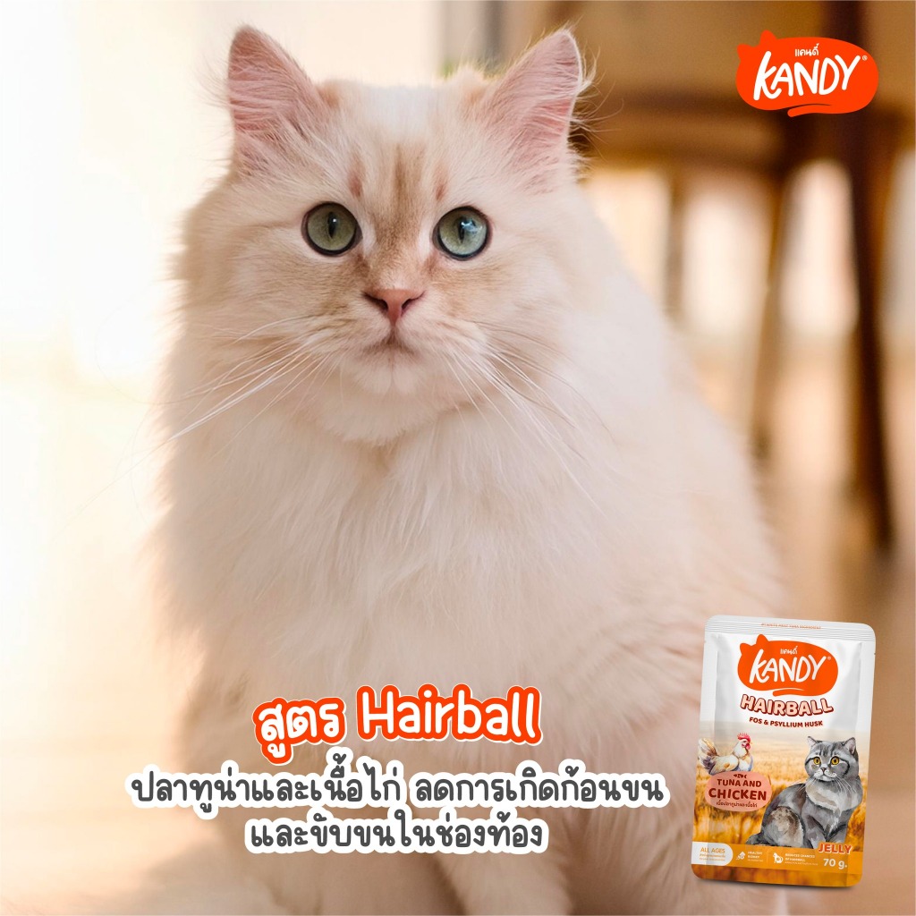 😻 Kandy Kandy อาหารเปียกแมว แคนดี้ ขนาดซองละ 70 กรัม [แบบลัง 48ซอง] - รูปที่ 7