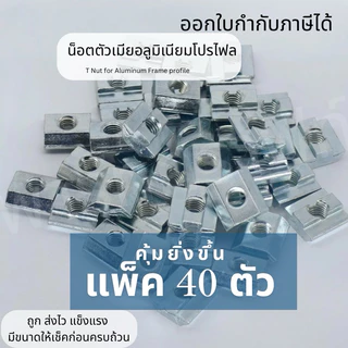แพค 40 ตัว ราคารวมแวท Tnut Nut Slide Nut อลูมิเนียมโปรไฟล์ นอตตัวเมียฉากโปรไฟล Aluminum Profile Frame T nut