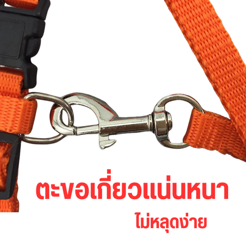 สายจูงรัดสัตว์เลี้ยงปรับได้ สายจูงแมว หมา กระต่าย ขายส่งโดยตรงจากโรงงาน สินค้าดีมีคุณภาพ thumbnail 3