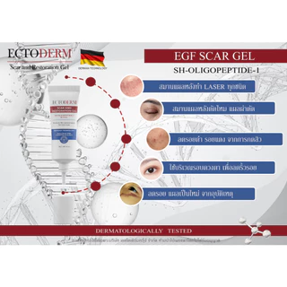 ECTODERM Scar and Restoration รักษาแผลตั้งแต่แรก แผลใหม่แผลหลังผ่าตัดสมานแผลแท้+แถม EXP.15/05/28