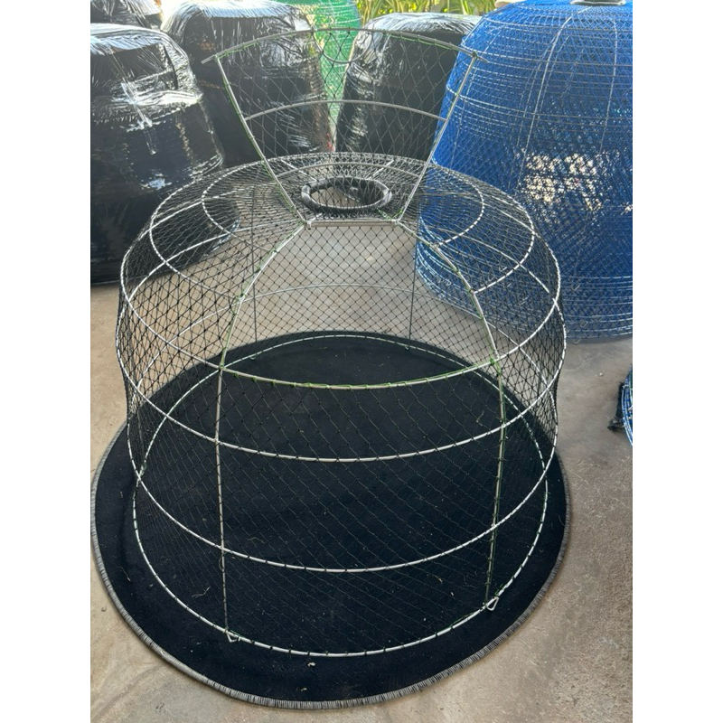 สุ่มไก่ชน ชุด3ใบ คละสี 6ขา6วง