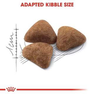 Royal canin Indoor 10 kg อาหารแมวชนิดเม็ด สำหรับแมวอาศัยในบ้าน
