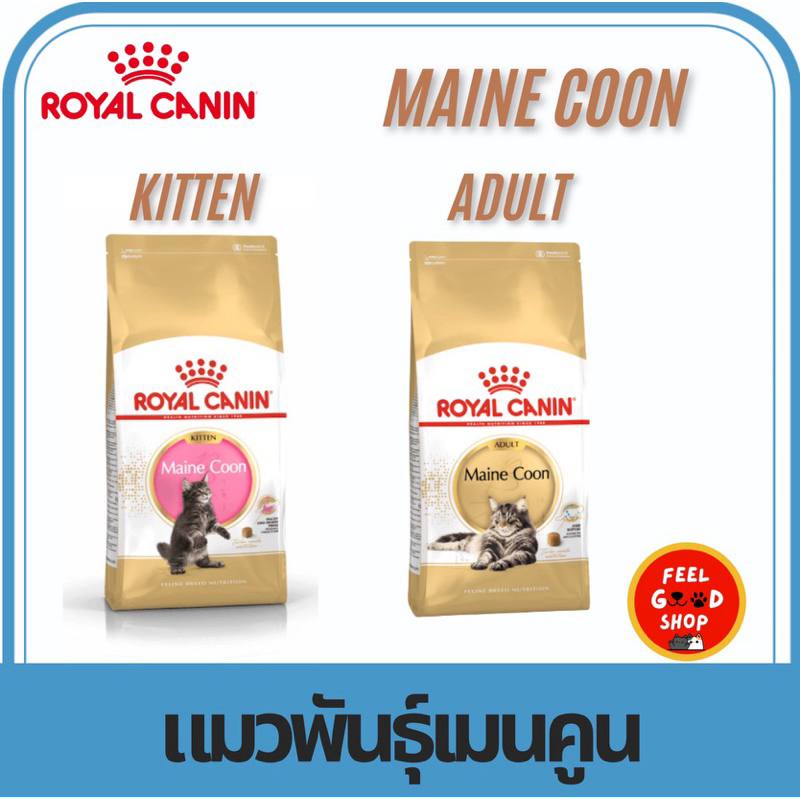 Royal canin maine coon อาหารเม็ดสำหรับแมวเมนคูน ขนาด 10 กก.