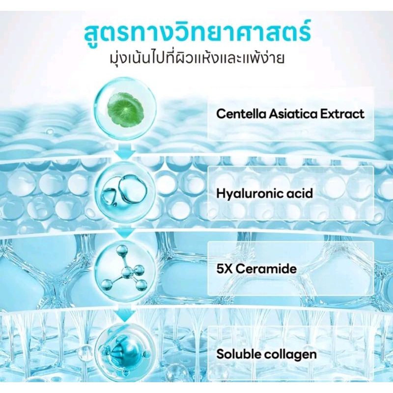 PAPA FEEL 5XCERAMDIE BARRIER MOISTURIZER(ขนาด 80g) ครีมให้ความ ชุ่มชื้น บำรุงผิวเสริมเกราะป้องกันควา