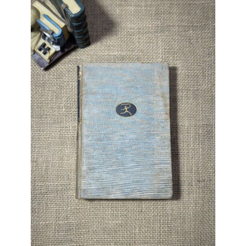 The IDIOT {classic book}